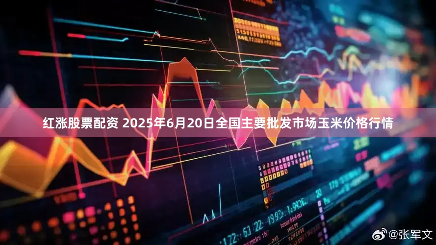 红涨股票配资 2025年6月20日全国主要批发市场玉米价格行情