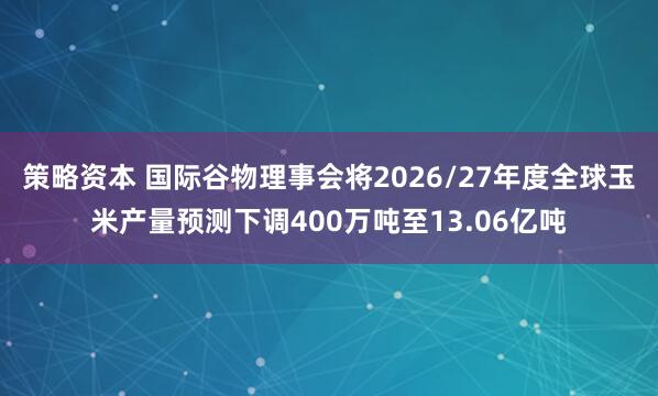 策略资本 国际谷物理事会将2026/27年度全球玉米产量预测下调400万吨至13.06亿吨